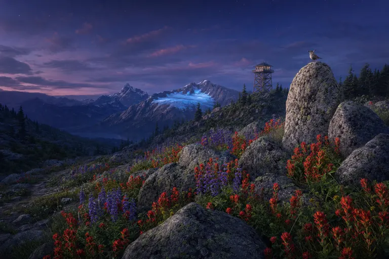 Paintbrush Boulders cover art